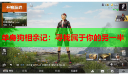 单身狗相亲记：寻找属于你的另一半