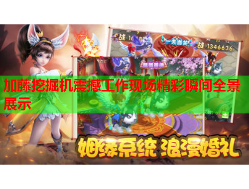 加藤挖掘机震撼工作现场精彩瞬间全景展示