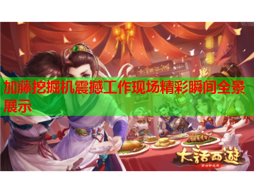 加藤挖掘机震撼工作现场精彩瞬间全景展示