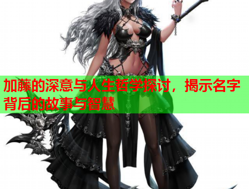 加藤的深意与人生哲学探讨，揭示名字背后的故事与智慧