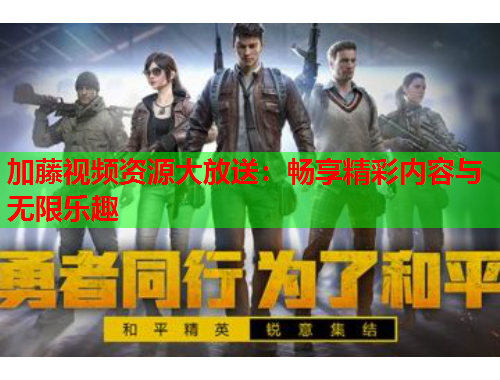 加藤视频资源大放送：畅享精彩内容与无限乐趣