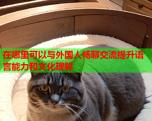 在哪里可以与外国人畅聊交流提升语言能力和文化理解